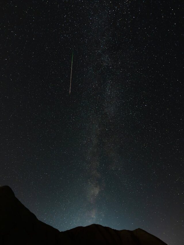 The Perseid meteor shower through the lens of a novice stargazer