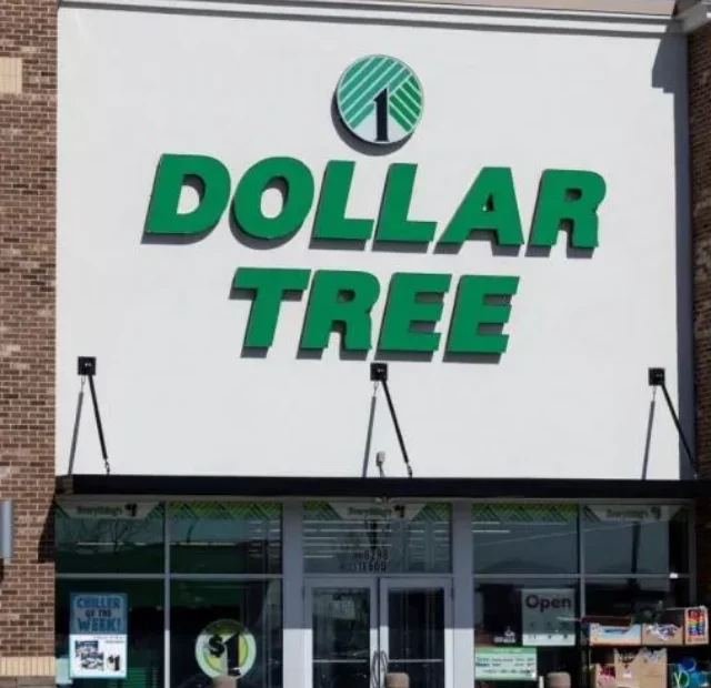 7 Dollar Tree Items Retirees Need To Buy Ahead of Fall 2024 (2)