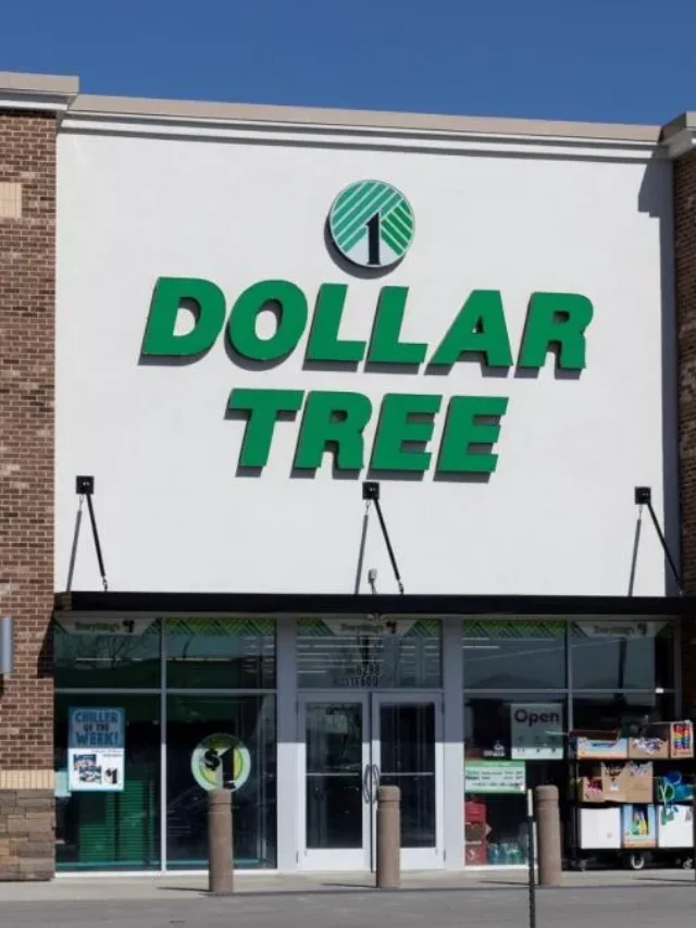 7 Dollar Tree Items Retirees Need To Buy Ahead of Fall 2024