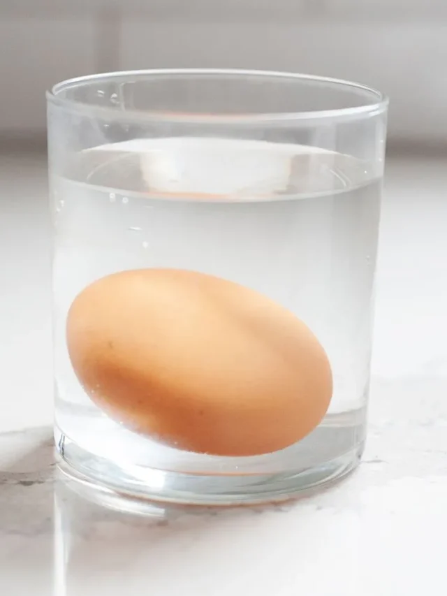 You Can Tell If An Egg Is Expired By Dropping It In A Glass Of Water