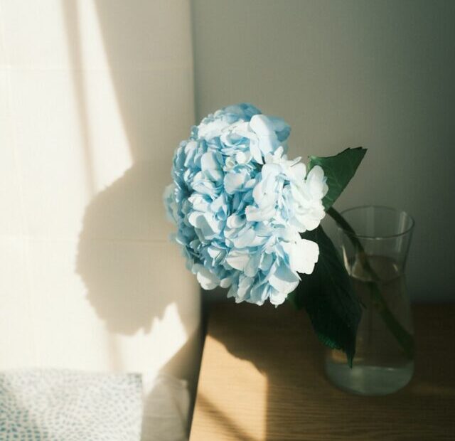 a blue flower in a glass vase on a table