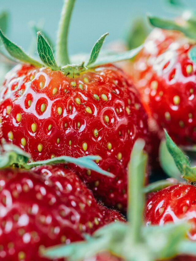 Now is the time to lift and divide strawberries – for a bigger and better harvest in the years ahead