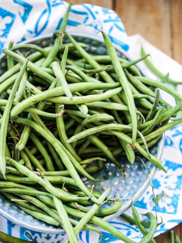 How to Freeze Green Beans and Retain Their Freshness