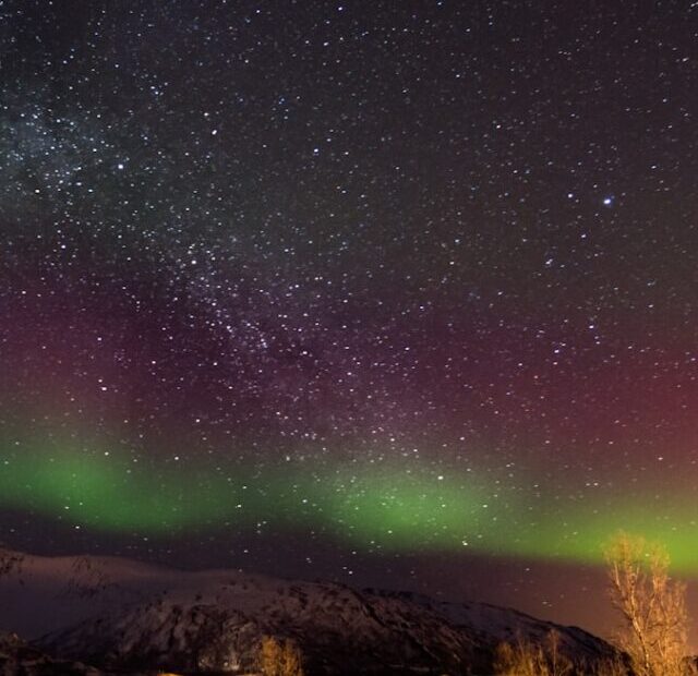 a view of the night sky with a lot of stars