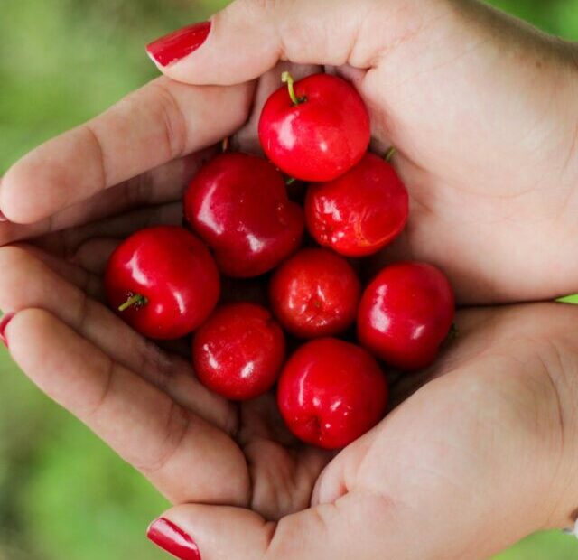 red berries on person's hands