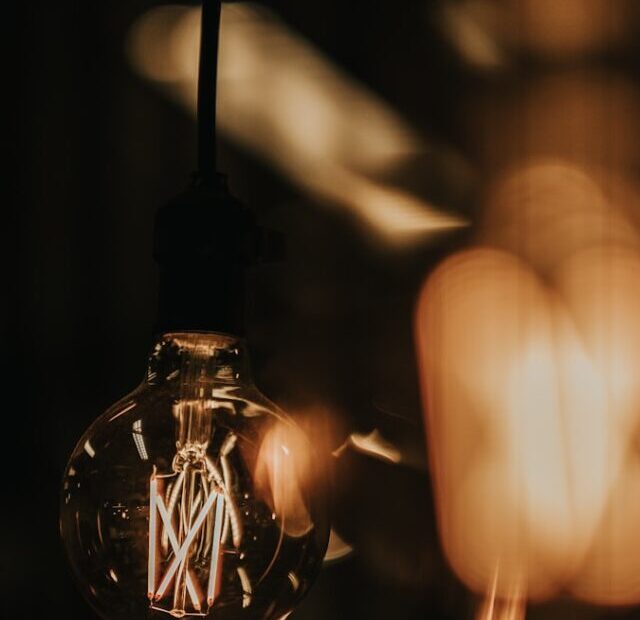 closeup photo of incandescent lamp