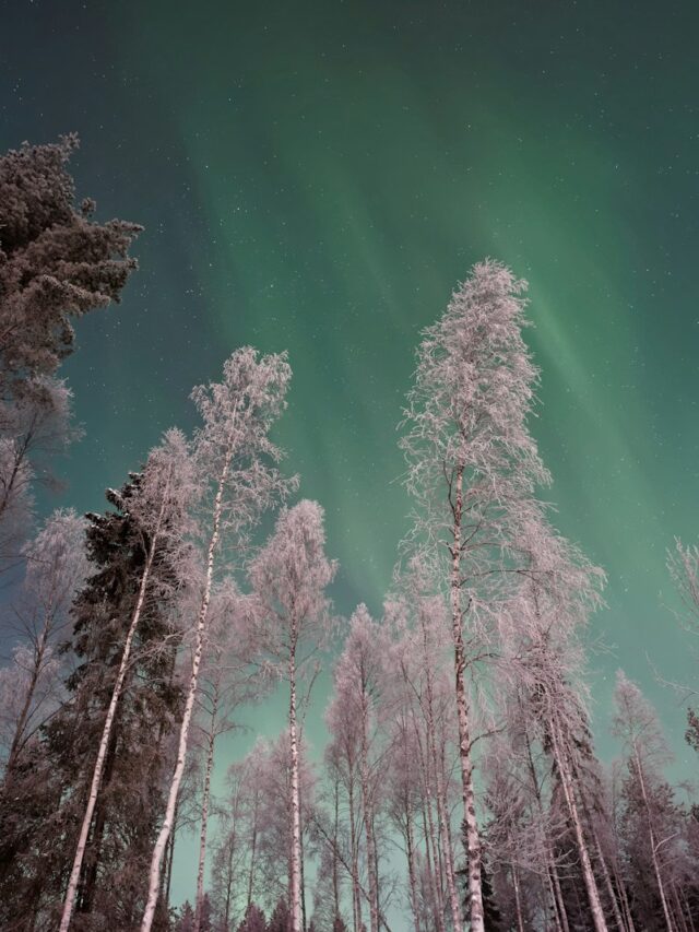 Northern Lights could be visible over Great Lakes this week